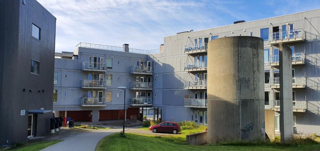 Northern Dreams Apartment With Free Parking Tromsø Eksteriør bilde