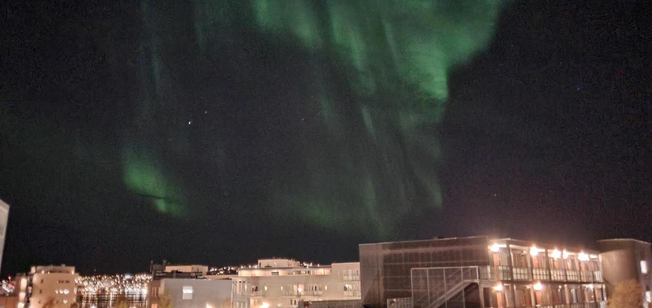 Northern Dreams Apartment With Free Parking Tromsø Eksteriør bilde